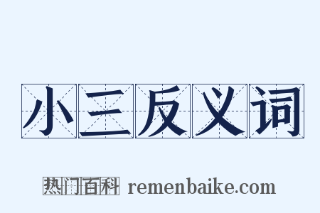 小三反义词是什么意思的图片